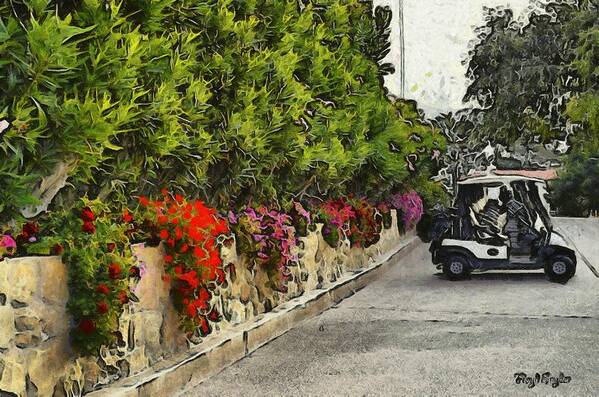  La Cumbre Golf Carts Poster featuring the photograph La Cumbre Golf Carts by Floyd Snyder