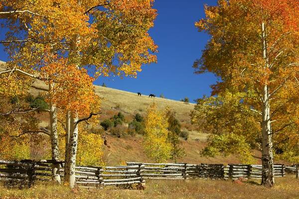 Landscapes Poster featuring the photograph Autumn Cedar Mountain Utah #5 by Douglas Miller