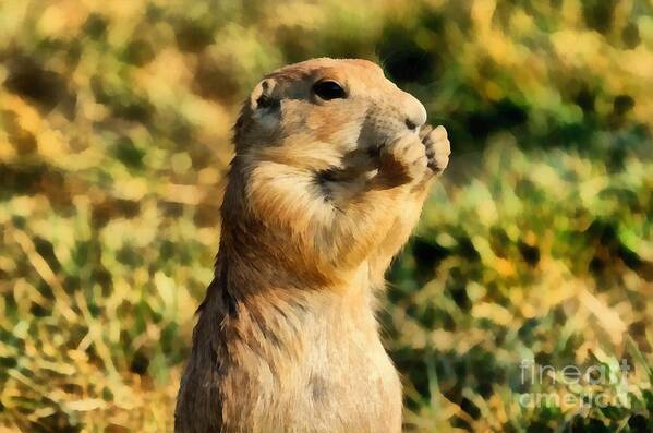 Black-tailed Prairie Dog Poster featuring the painting Black-Tailed Prairie Dog #1 by George Atsametakis