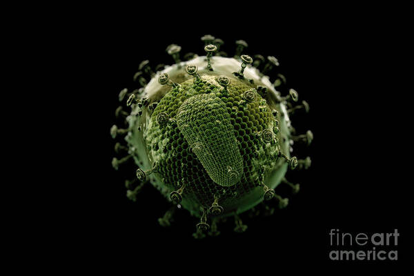 Sick Poster featuring the photograph Hiv #5 by Science Picture Co