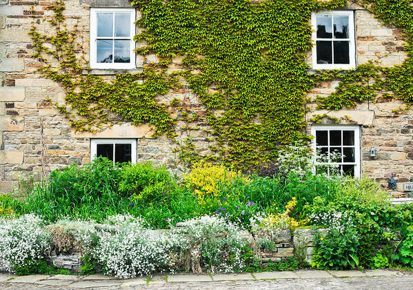 Accommodation Poster featuring the photograph Cottage garden #6 by Tom Gowanlock