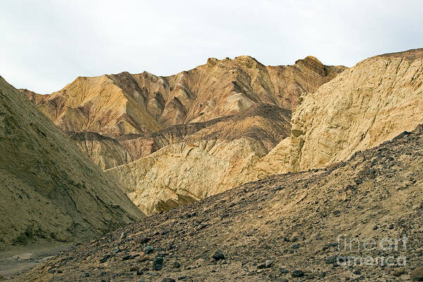 Afternoon Poster featuring the photograph Golden Canyon Death Valley National Park #6 by Fred Stearns