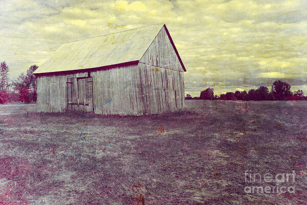 Barn Poster featuring the photograph Old Barn #6 by Sophie Vigneault
