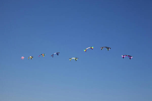 Beach Poster featuring the photograph Wa, Long Beach, International Kite #6 by Jamie and Judy Wild