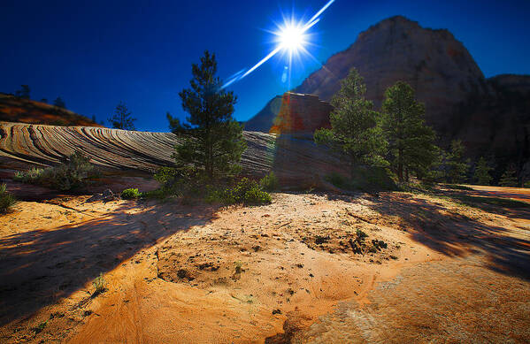 Landscape Poster featuring the photograph Zion National Park Utah USA #62 by Richard Wiggins