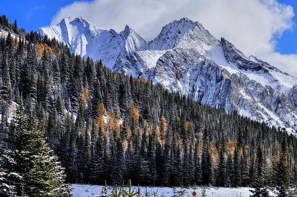 Banff Alberta Canada Poster featuring the photograph Banff Alberta Canada #64 by Paul James Bannerman