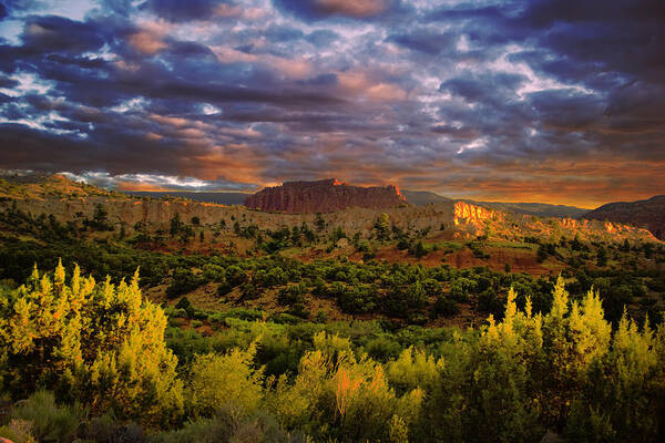 Capitol Reef National Park Poster featuring the photograph Capitol Reef National Park #688 by Mark Smith