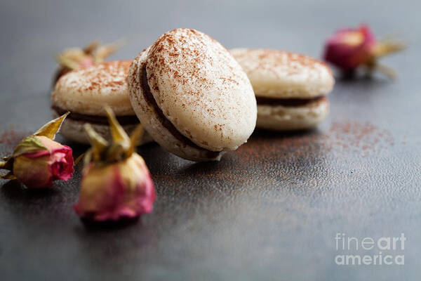 Macaron Poster featuring the photograph French macaroons #7 by Kati Finell