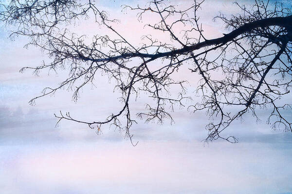 Sunrise Poster featuring the photograph A Breathing Too Quiet To Hear by Theresa Tahara