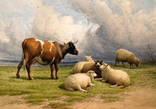 Thomas Sidney Cooper Poster featuring the painting A Cow and Five Sheep by Thomas Sidney Cooper