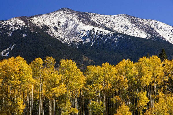 Fall Colors Poster featuring the photograph A Dusting of Snow on the Peaks by Saija Lehtonen