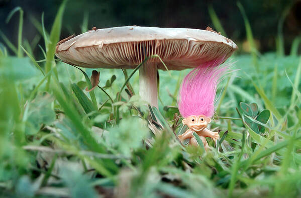Troll Poster featuring the photograph A Gnome and his mushroom by Meir Ezrachi