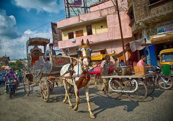 5d Mark Iii Poster featuring the photograph A Horse-Drawn Cart of a Different Color 2 by John Hoey