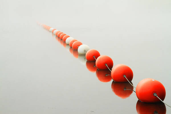 Lake Poster featuring the photograph A Line to the Unknown by Karol Livote