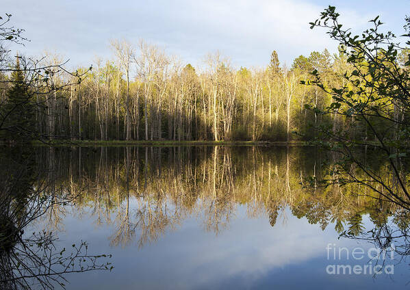 Spring River Images Poster featuring the photograph A Look Across The River by Dan Hefle