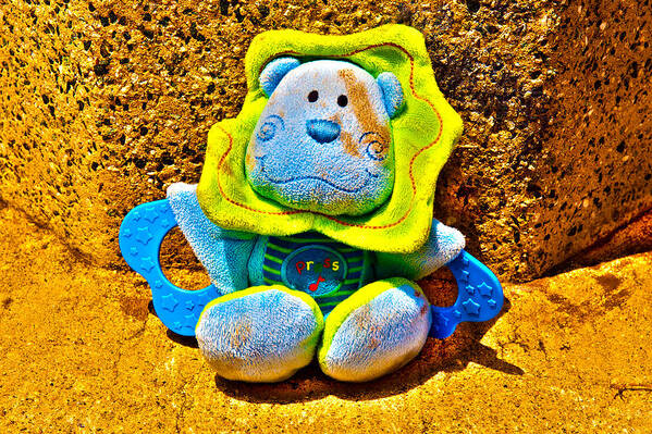 Stuffed Toy Poster featuring the photograph A Lost and Forgotten Toy by Richard J Cassato