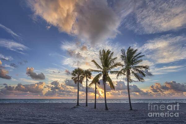 Key Biscayne Poster featuring the photograph A New Tomorrow by Evelina Kremsdorf