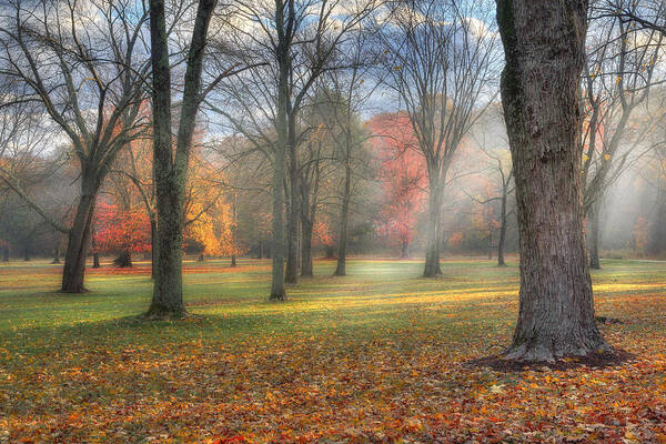 Sun Rays Poster featuring the photograph A November Morning by Bill Wakeley