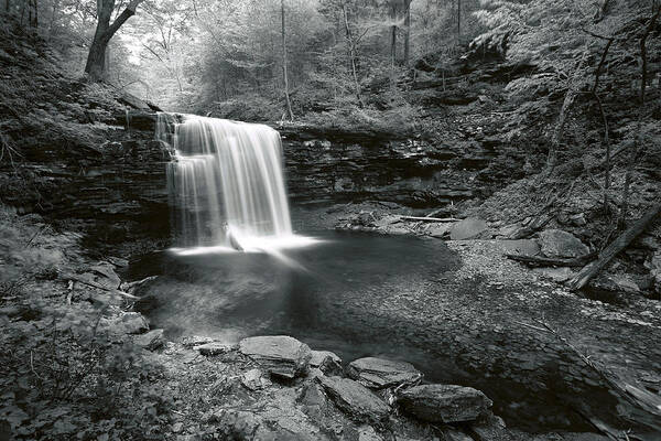 Waterfall Poster featuring the photograph A Place Where The Water Falls by Denise Bush