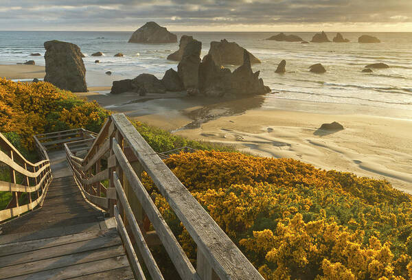 Bandon Poster featuring the photograph A Stairway Leads To The Beach by William Sutton