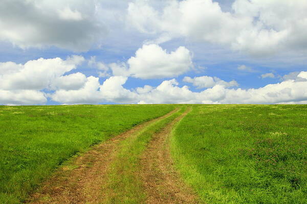 Road Poster featuring the photograph A trail to the horizon by Gary Corbett