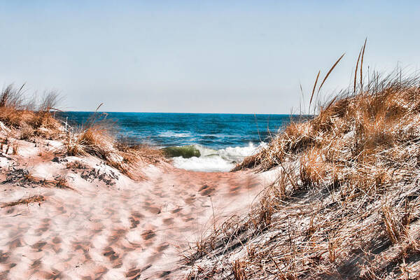 Beach Retaining Fence Poster featuring the photograph A walk out to the water by Jeff Folger