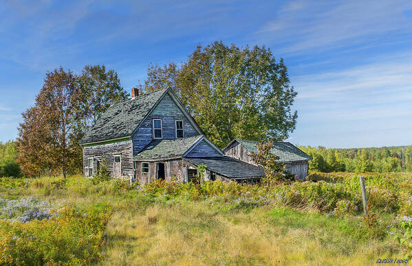 Abandon Poster featuring the photograph Abandoned House in Wentworth Valley by Ken Morris