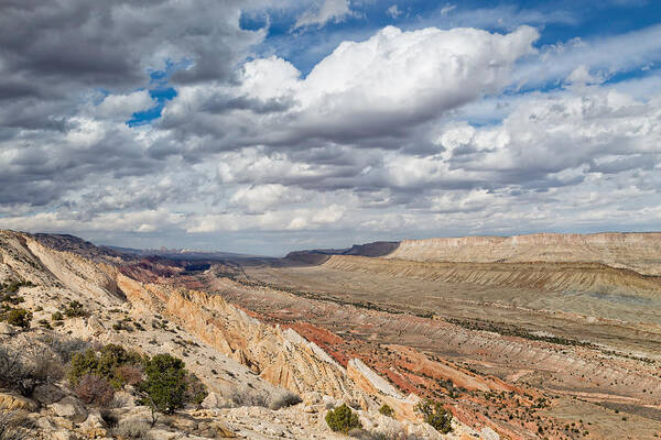 Capitol Reef Poster featuring the photograph Above the Strike Valley by Kathleen Bishop