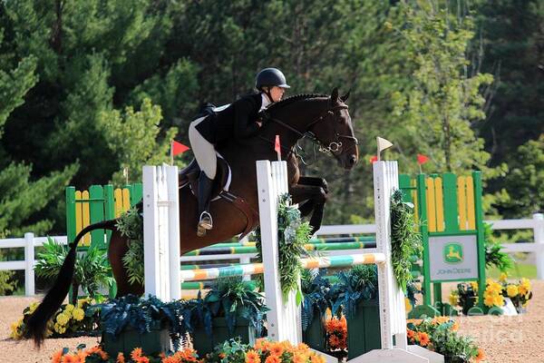 Horse Poster featuring the photograph Ac-medal25 by Janice Byer