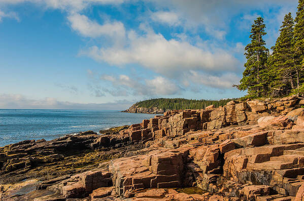 Acadia Poster featuring the photograph Acadia Shoreline by Thomas Lavoie