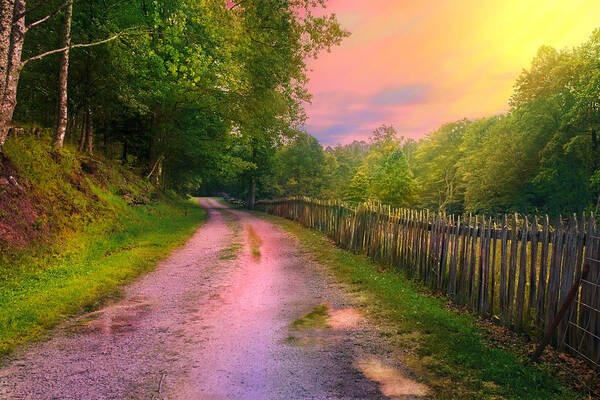 Country Lane Poster featuring the photograph After The Storm by Mary Almond