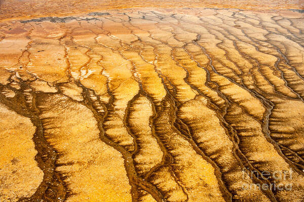 Algae Patterns Poster featuring the photograph Algae Patterns at the Grand Prismatic Spring in Midway Geyser Basin by Fred Stearns