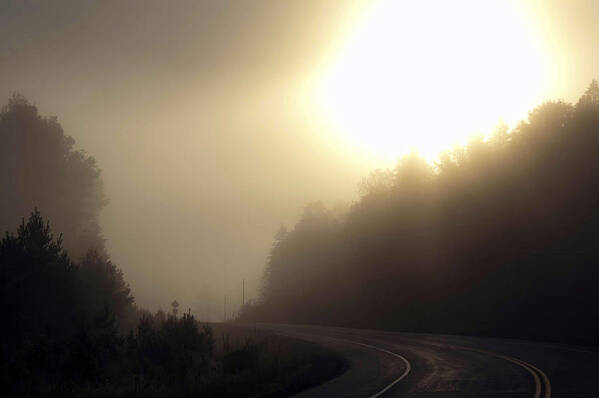 Mist Poster featuring the photograph Algonquin Morn by Ron Haist