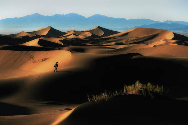 Desert Poster featuring the photograph Alone In Nature by Babak Mehrafshar (bob)