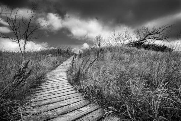 Kohler-andrae Poster featuring the photograph Along the Boardwalk by Josh Eral