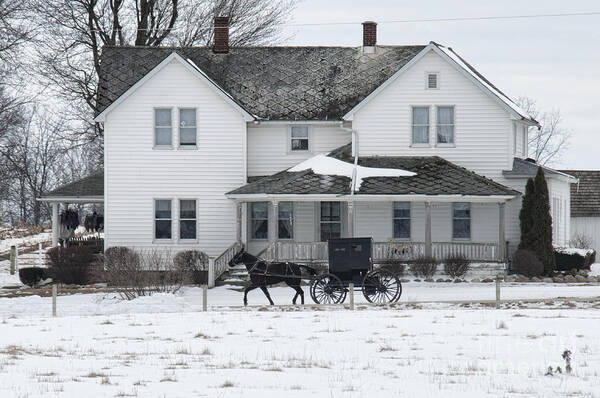 Amish Poster featuring the photograph Amish Buggy and Amish House by David Arment