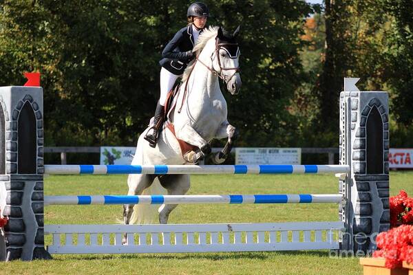 Horse Poster featuring the photograph An-su-jumper45 by Janice Byer