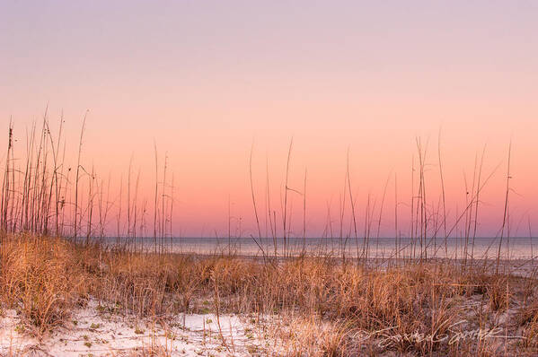 St. Augustine Poster featuring the photograph Anastasia Beach Dunes sunset by Stacey Sather