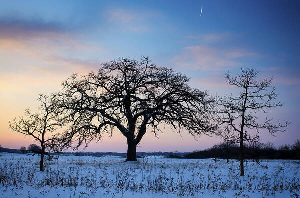 Winter Landscape Poster featuring the photograph And Then There Were Three by Dan Hefle