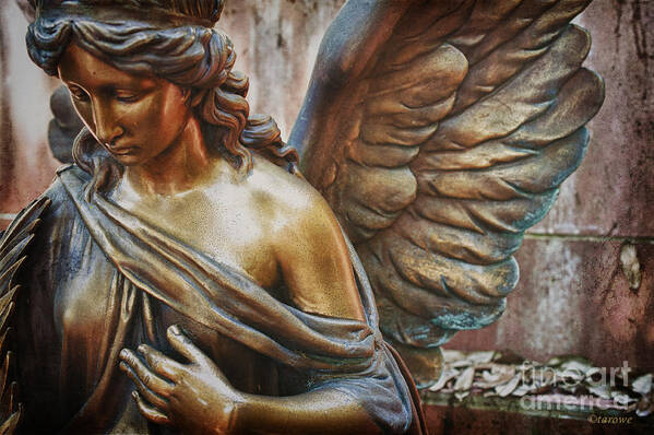 Angelic Contemplation Poster featuring the photograph Angelic Contemplation by Terry Rowe