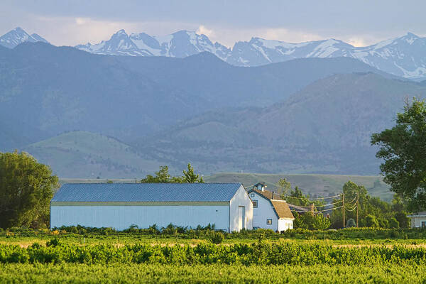 Colorado Poster featuring the photograph Another Colorado Country Landscape by James BO Insogna