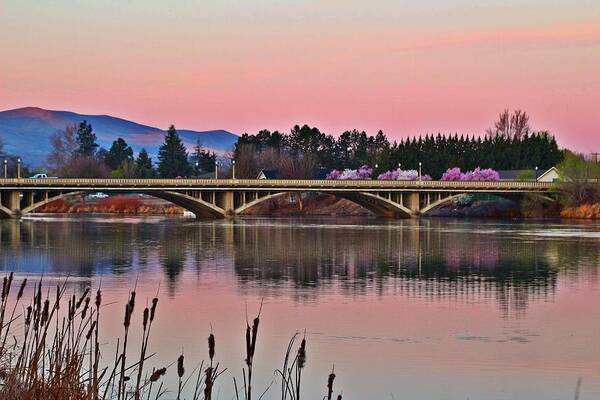 Bridge Poster featuring the photograph Another pink morning 2 by Lynn Hopwood