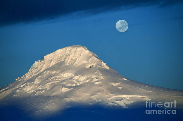 Landscape Poster featuring the photograph Antarctic Moon by David Lichtneker