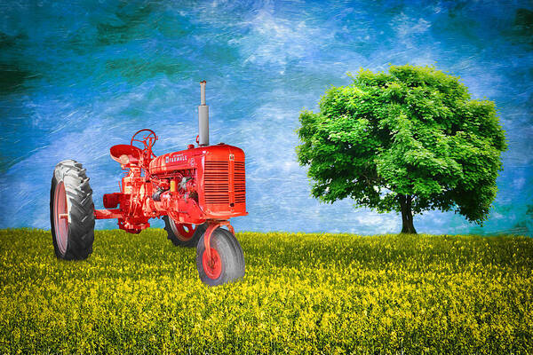 Fred Larson Poster featuring the photograph Antique Farmall Tractor by Fred Larson