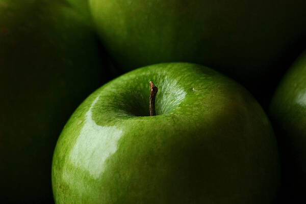 Green Poster featuring the photograph Apples Green by Lorenzo Cassina