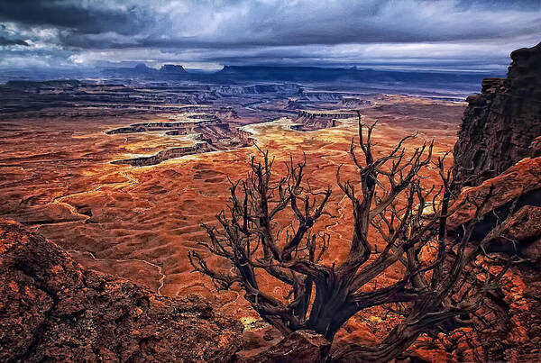 Canyonlands Poster featuring the photograph Approaching Storm by Priscilla Burgers