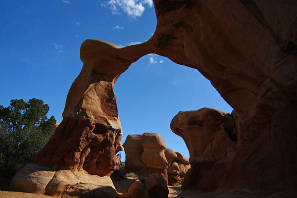Arch Poster featuring the photograph Arch in Devils Garden in Grand Escalante NM by Jean Clark