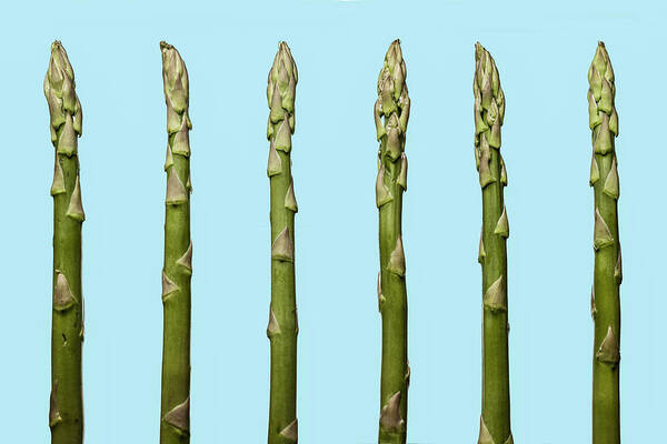 In A Row Poster featuring the photograph Asparagus by Bjorn Holland