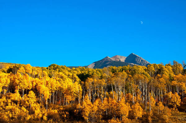 Aspen Poster featuring the photograph Aspen Moon by Eric Rundle