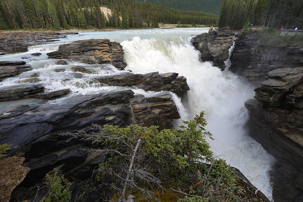 Jasper Poster featuring the photograph Athabasca Falls Jasper by Yue Wang